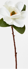 Load image into Gallery viewer, White Magnolia Stem
