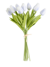 Load image into Gallery viewer, Mini Tulip Bundle
