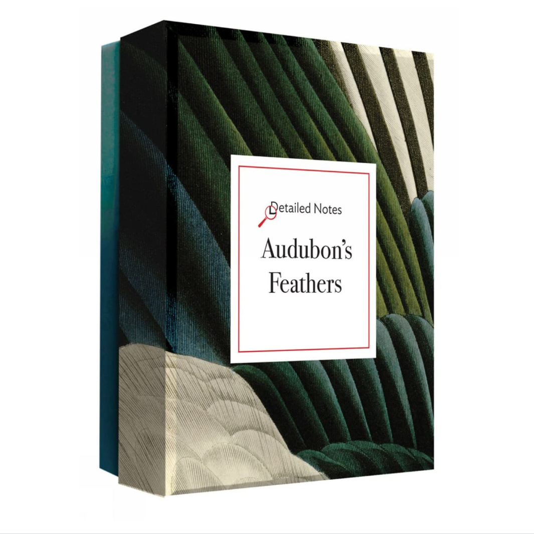 Audubon's Feathers: Detailed Notecards