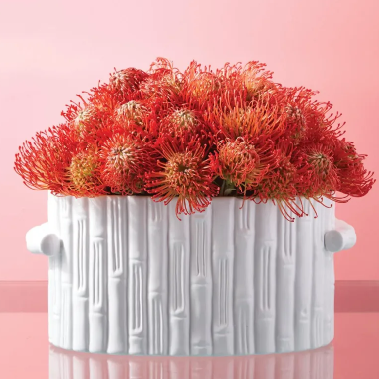 Bamboo Oval Centerpiece / Cachepot