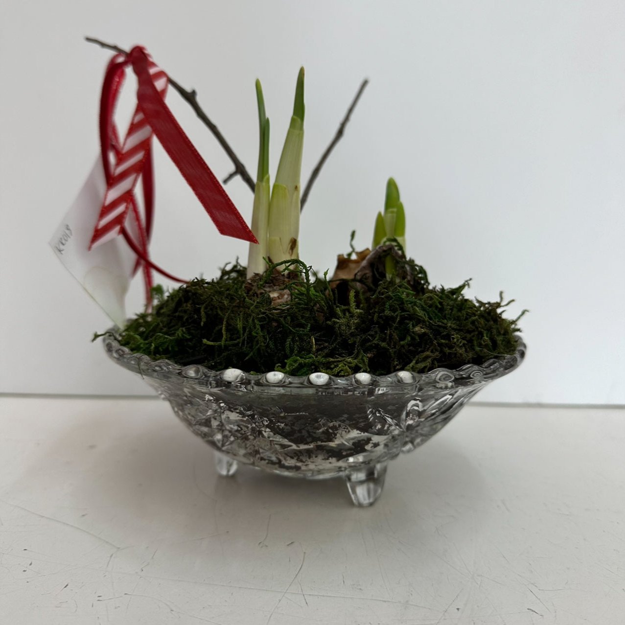 SM Glass Footed Bowl Paper Whites