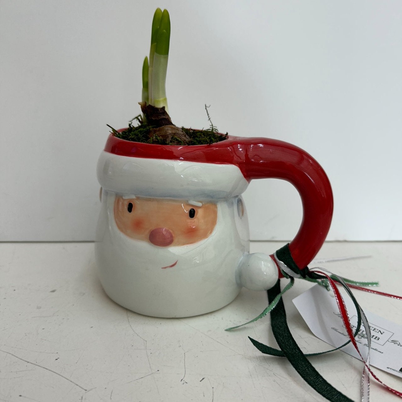 Santa Mug Paper Whites