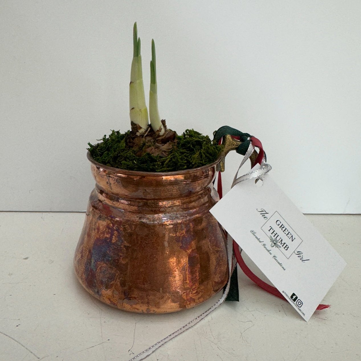 Copper Creamer Paper Whites