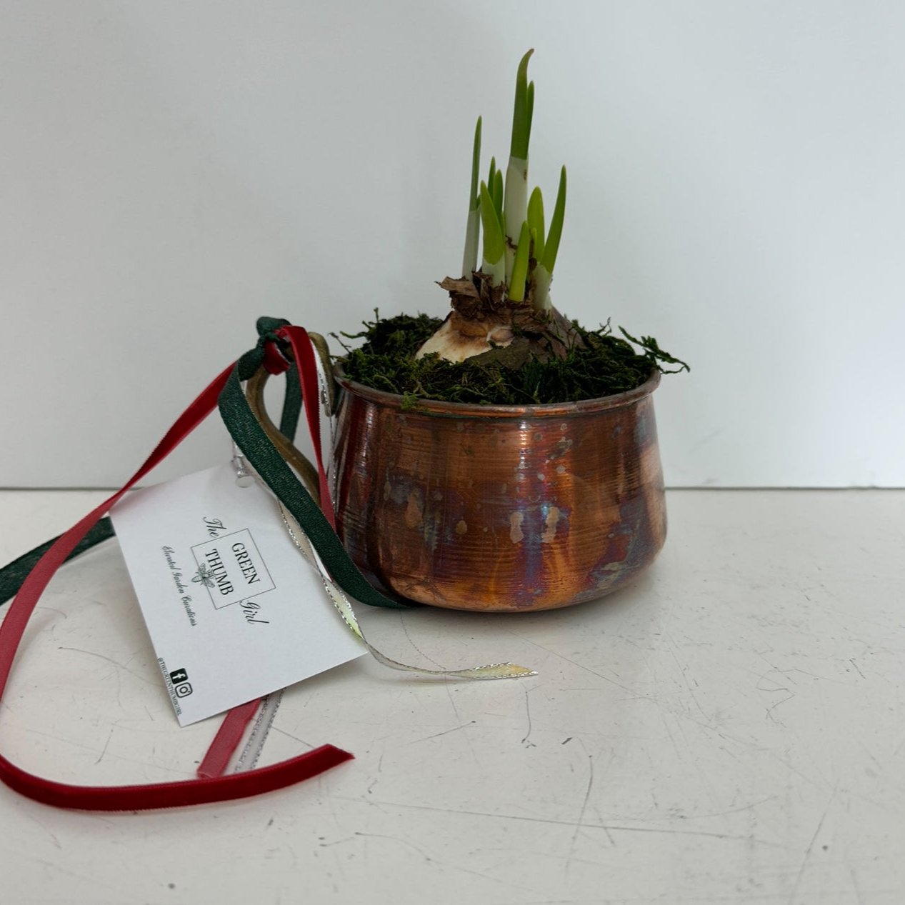 Copper Sugar Paper Whites