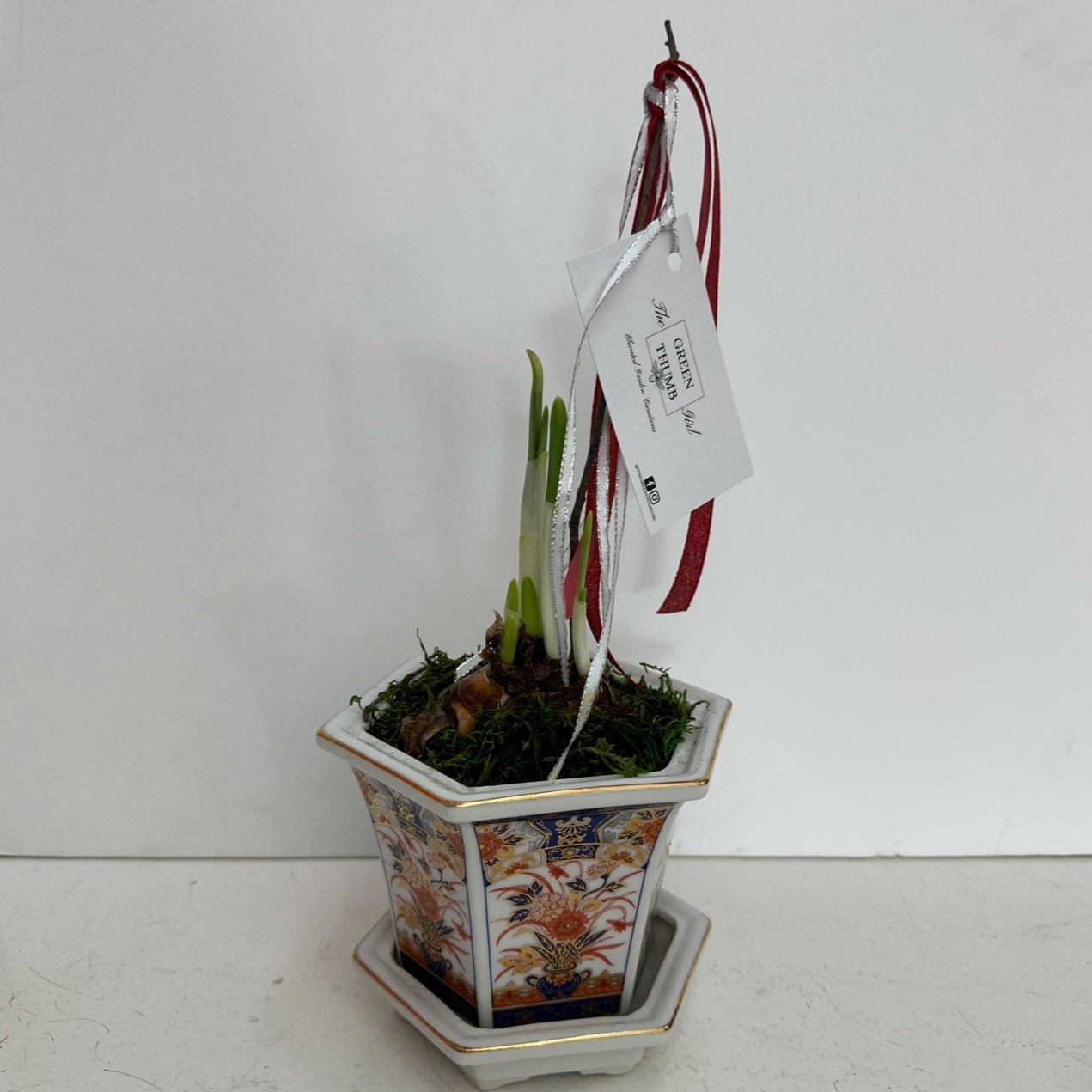 Imari Planter Paper Whites