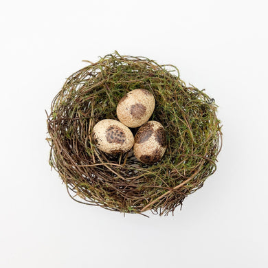 Moss Egg Nest - Brown