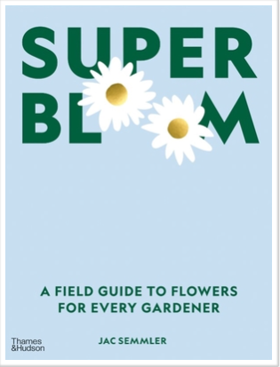 Super Bloom