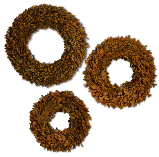 orange preserved Boxwood Wreaths