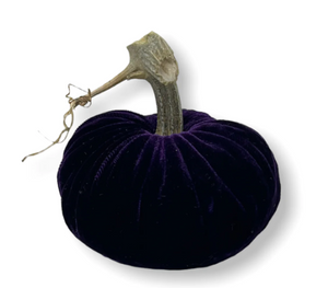 violet plush pumpkin