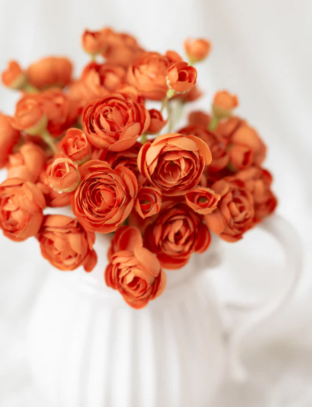 Mini Orange Ranunculus Bundle