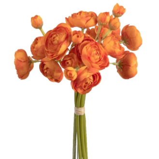 Mini Orange Ranunculus Bundle