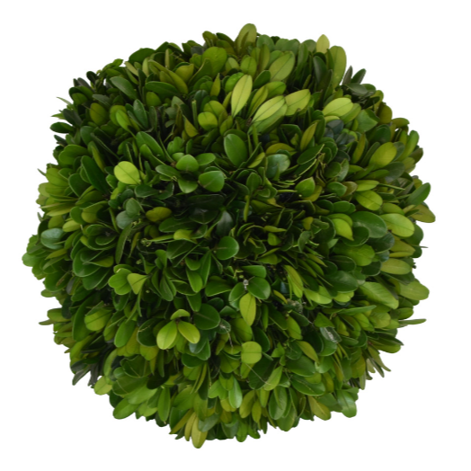 Boxwood Ball