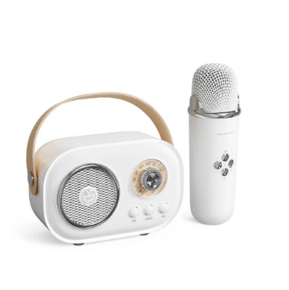 Mini White Karaoke Set