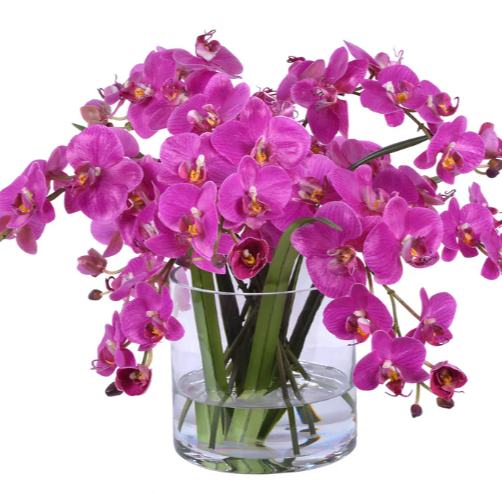 Fuchsia Orchid Arrangement