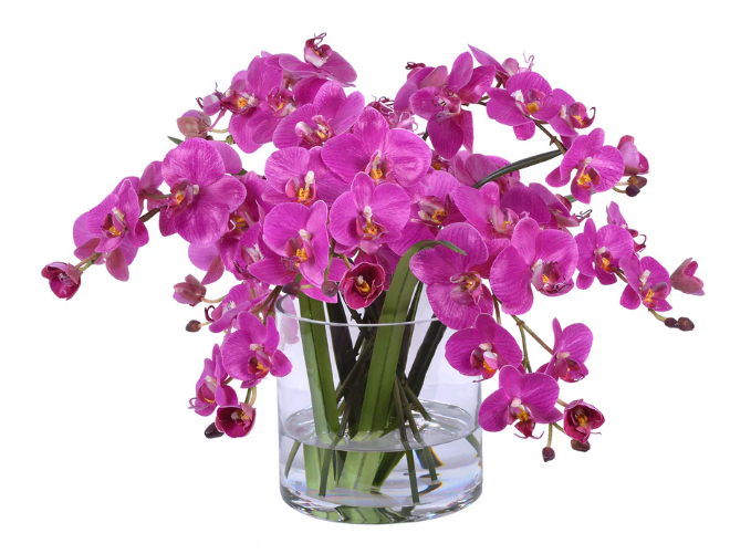 Fuchsia Orchid Arrangement