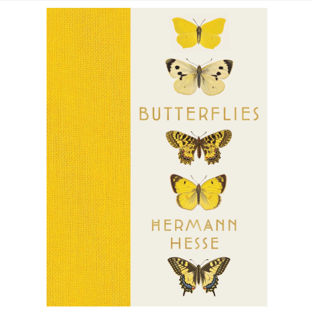 Butterflies The Keeping Room Baton Rouge Butterflies the keeping room baton rouge
