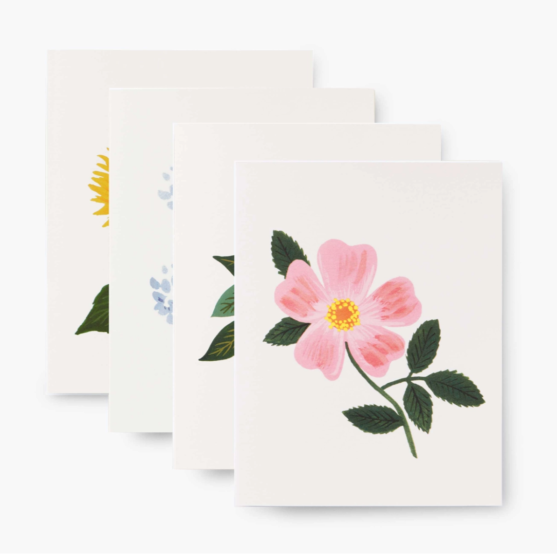 Botanical Blossom Assorted Card Set