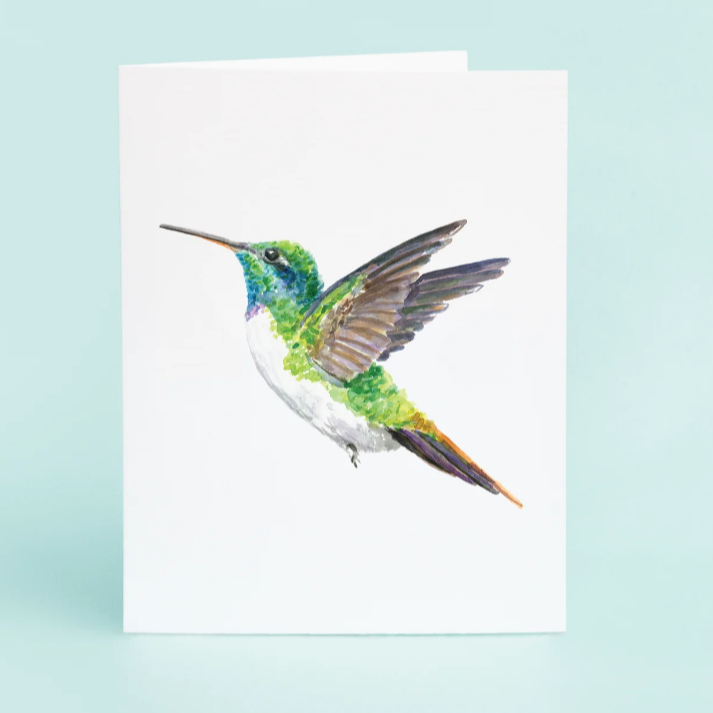 Hummingbird Notecards