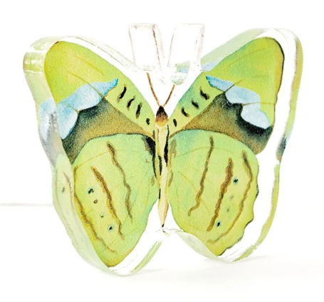 Butterfly Acrylic Art Block