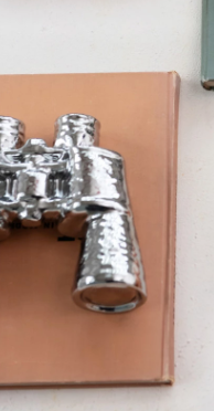 Chrome Binoculars