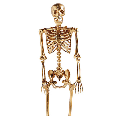 Gold Skeleton