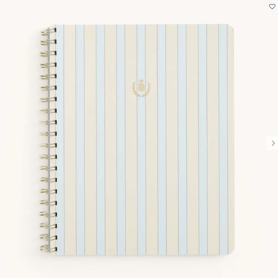 Blue Stripe Simplified Notebook
