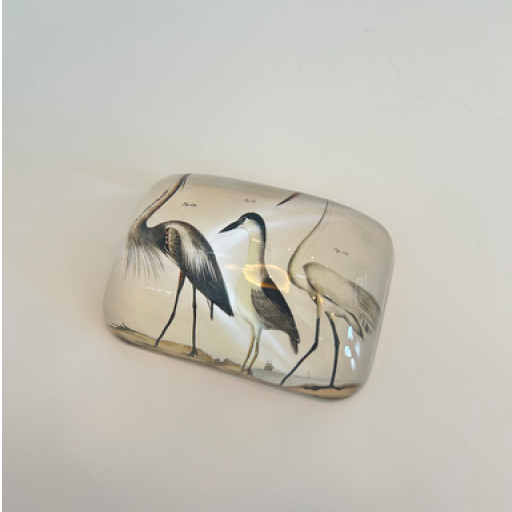Blue Herons Paperweight