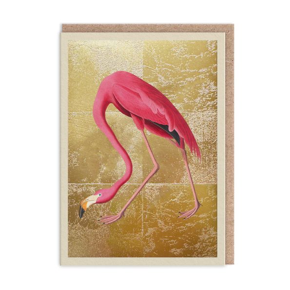 Flamingo Greeting Card