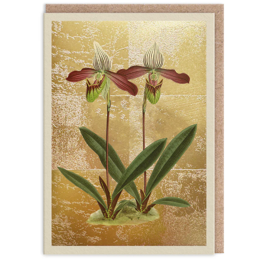 Cypripedium Greeting Card
