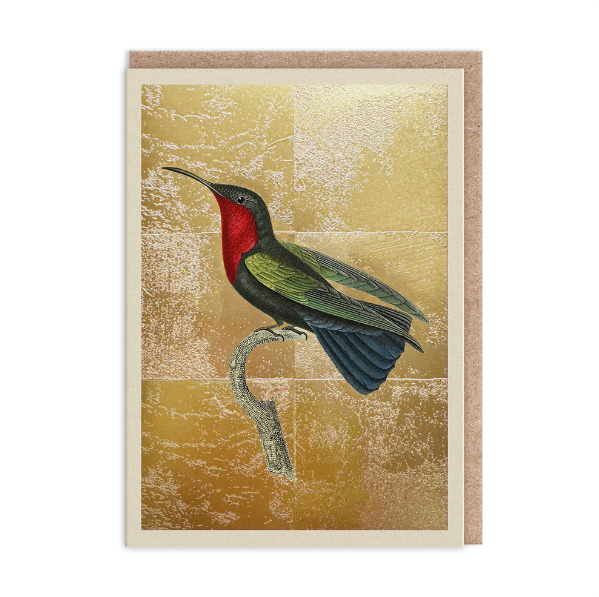Hummingbird Card