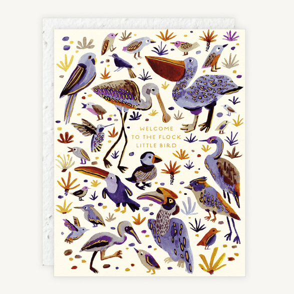 Little Bird Baby Card