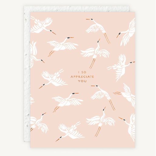 I So Appreciate You Card