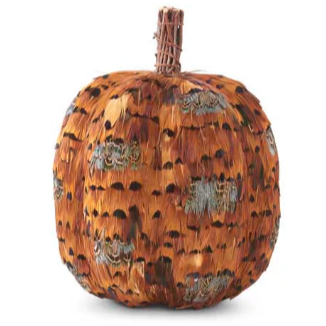 Orange and Brown Feather Pumpkin