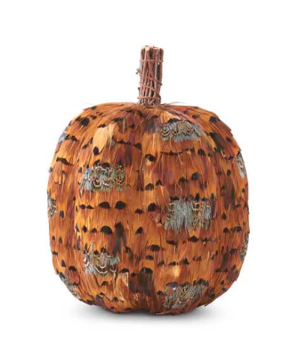 Orange and Brown Feather Pumpkin