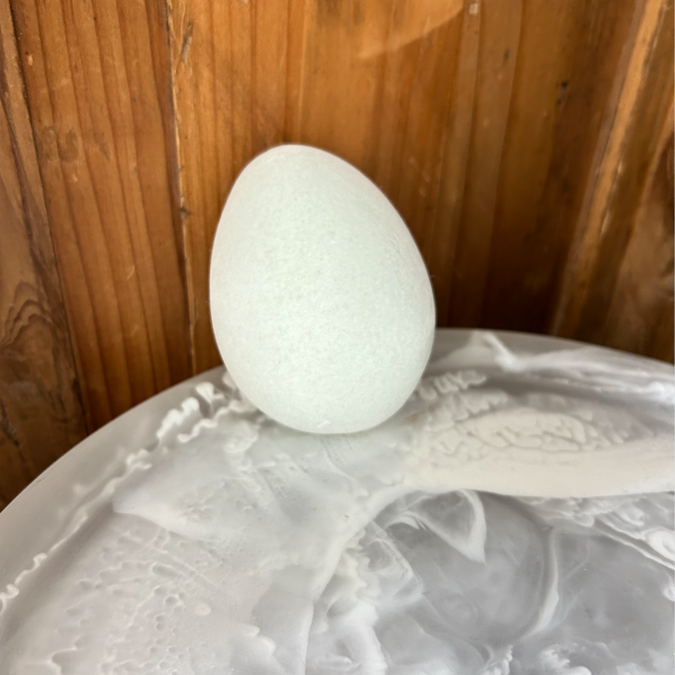 Pastel Resin Flocked Egg