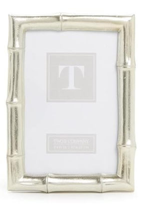 Silver Bamboo Frame