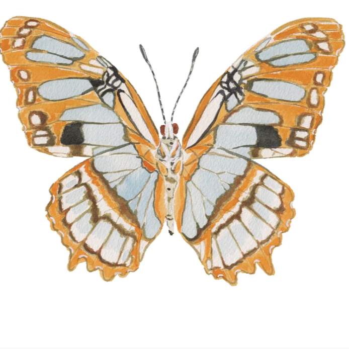 Butterfly Acrylic Art Block