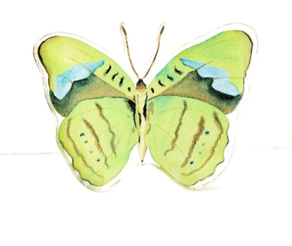 Butterfly Acrylic Art Block