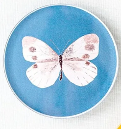 Acrylic Butterfly Coasters