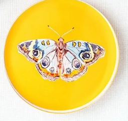 Acrylic Butterfly Coasters