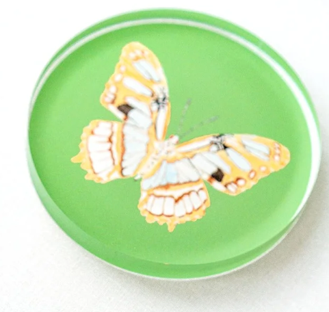 Acrylic Butterfly Coasters