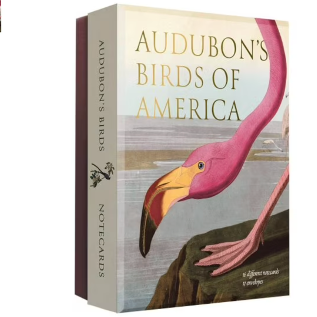 Audubon's Birds of America Notecards