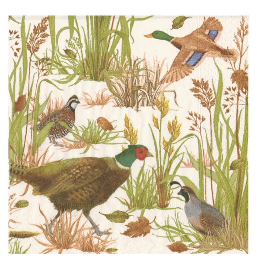 Birds Of A Feather Cocktail Napkins