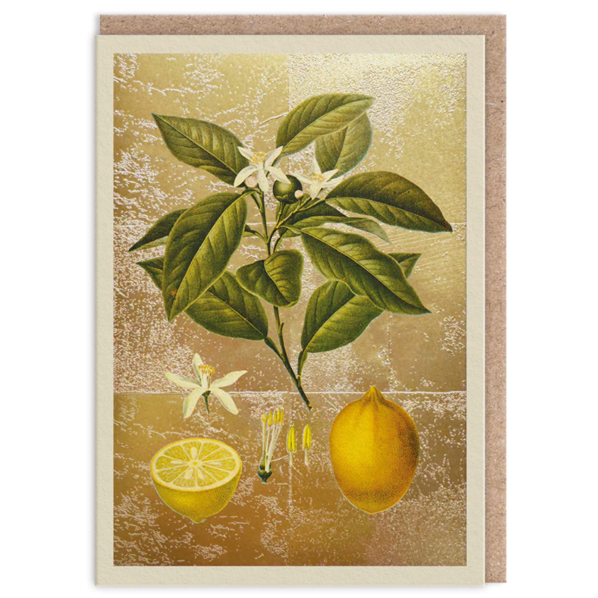 Lemons Greeting Card