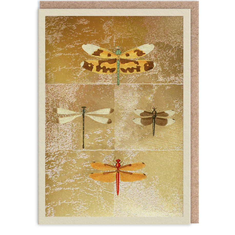 Dragonflies Greeting Card