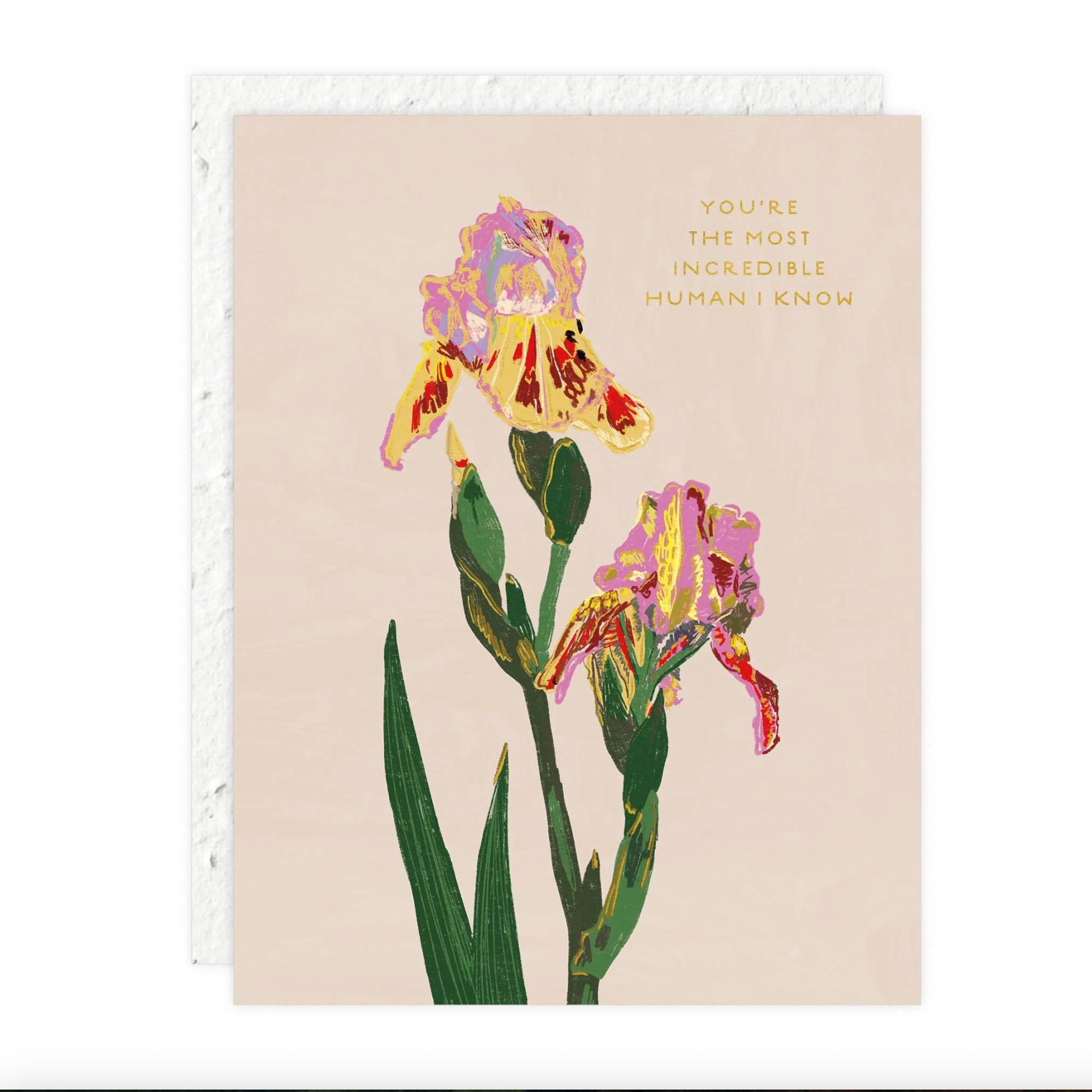 Whimsy Bloom Love + Friendship Card