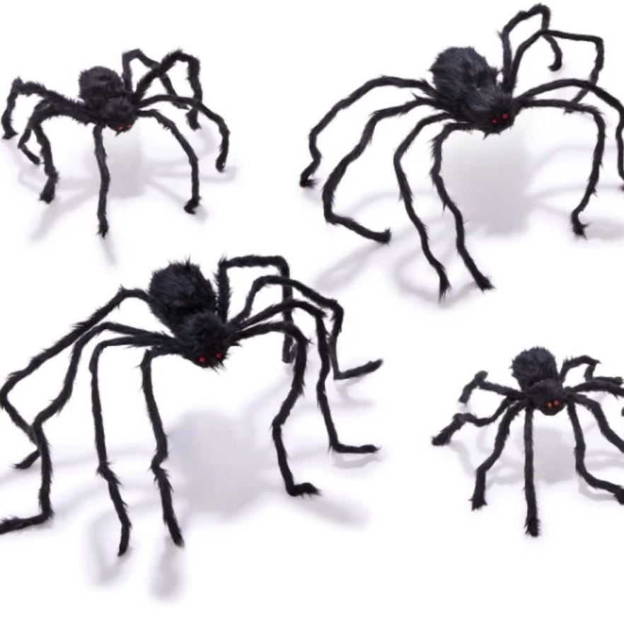Furry Tarantula