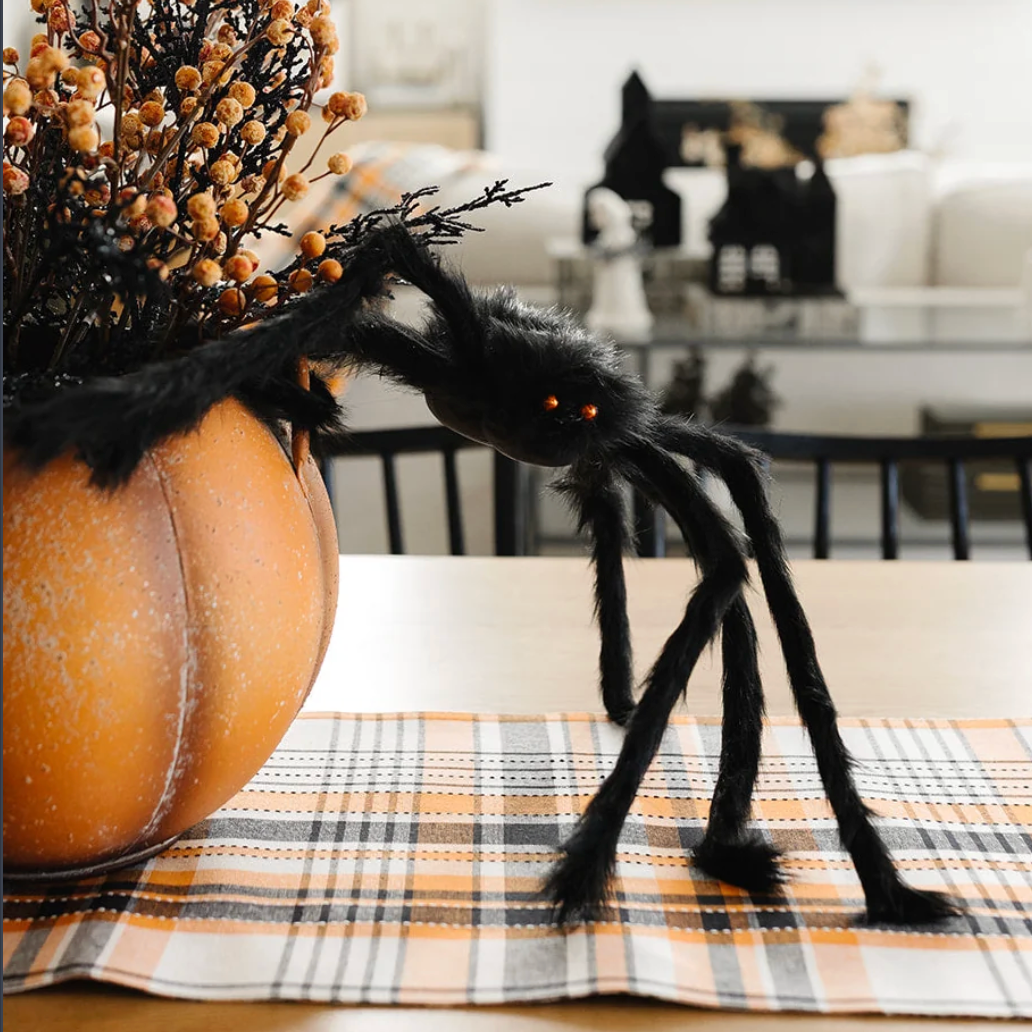 Furry Tarantula