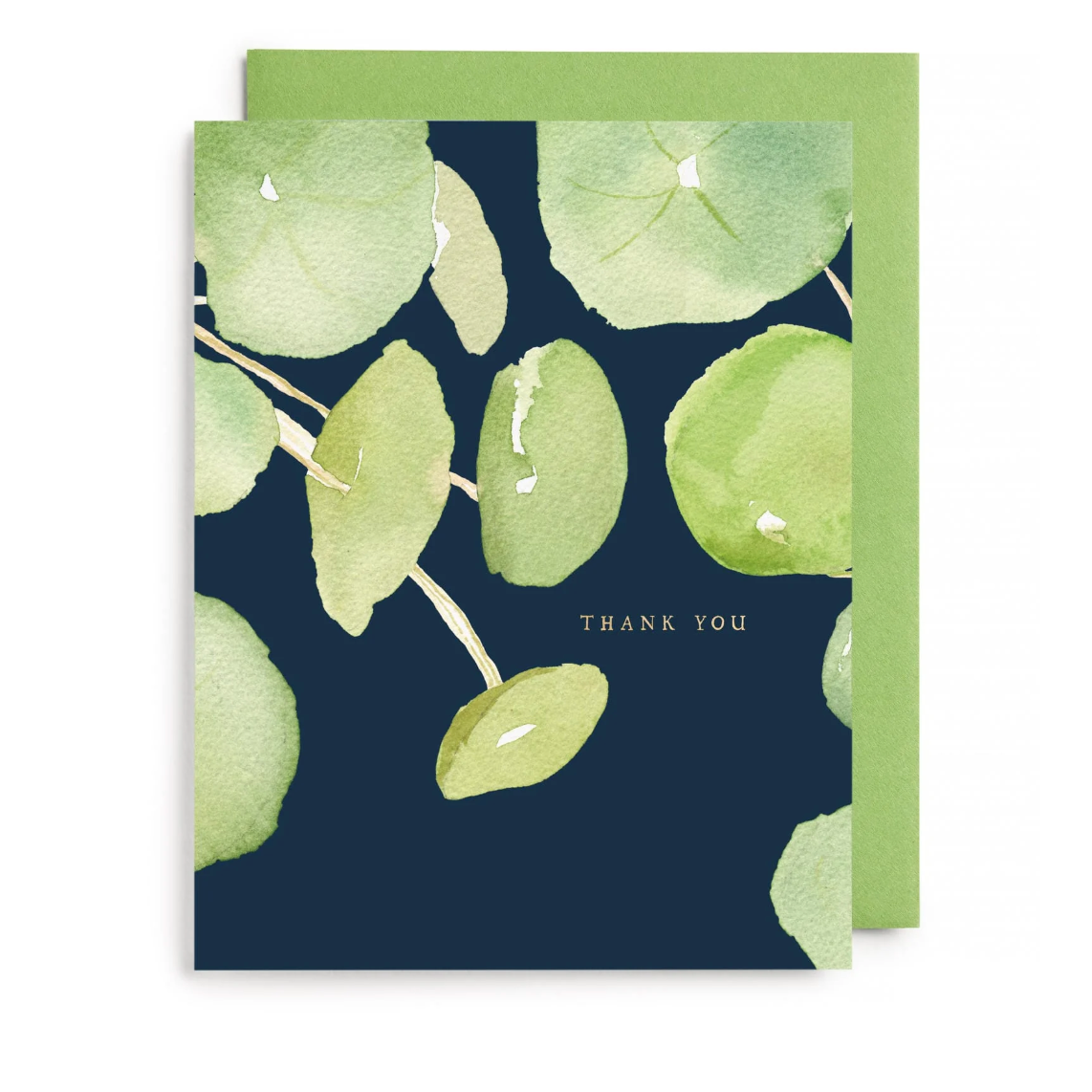 Pancake Plant Thank You Boxed Card Set