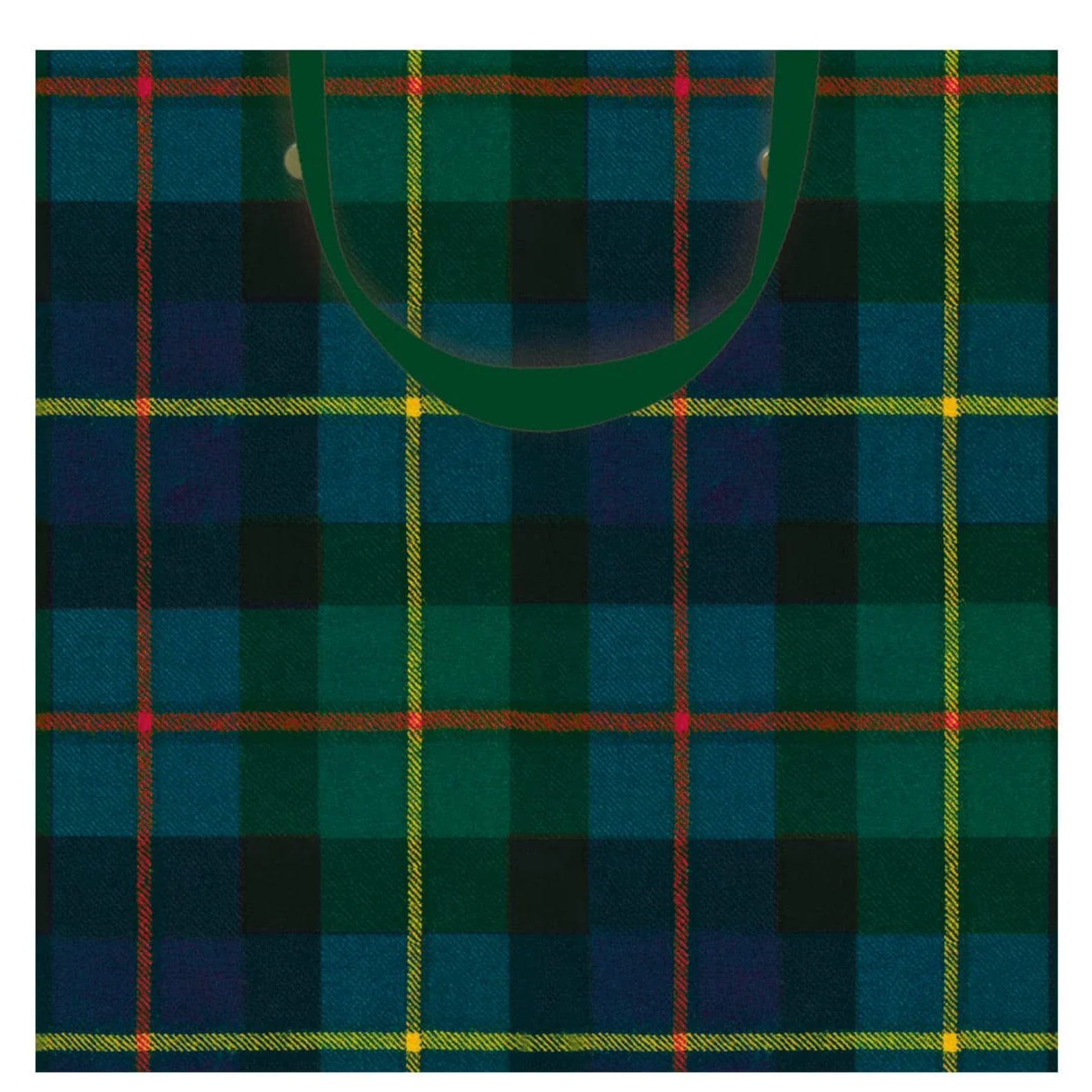 William Tartan Blue Gift Bag